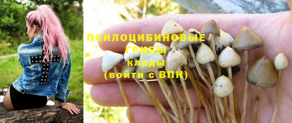 ПСИЛОЦИБИНОВЫЕ ГРИБЫ Алексин