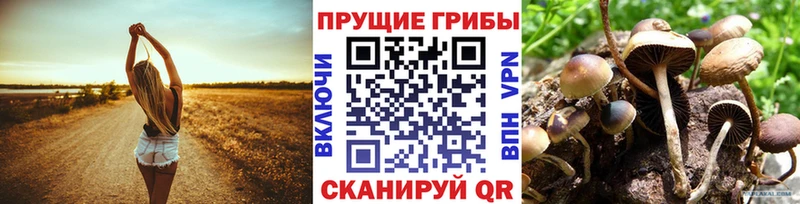 Галлюциногенные грибы прущие грибы дарнет шоп Кимры