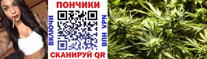 Каннабис Amnesia  хочу наркоту  Кимры 